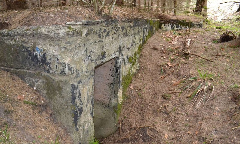 Hiking trail D04: Fortified positions south of Le Donon