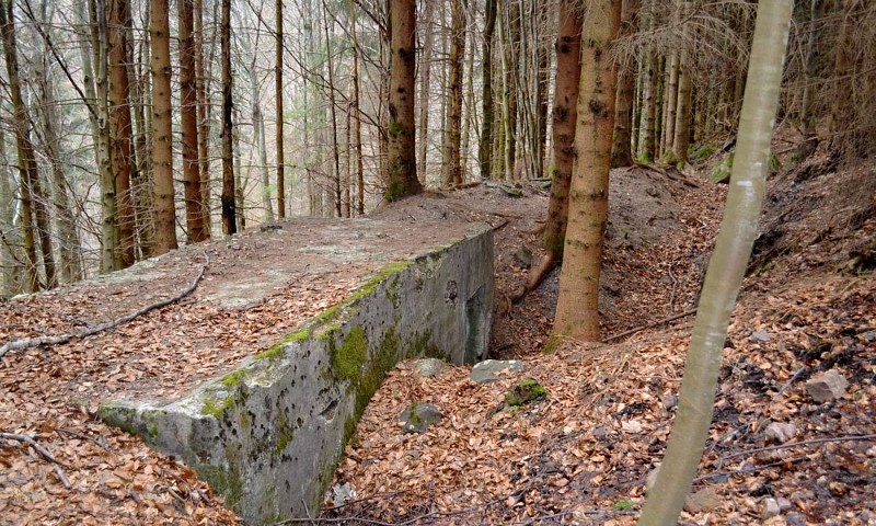 Hiking trail D04: Fortified positions south of Le Donon