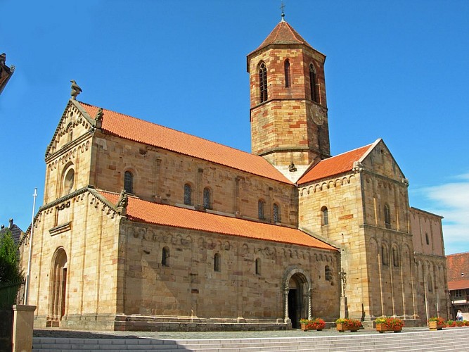 BR81 From the alsatian wine road to the Rhine plain