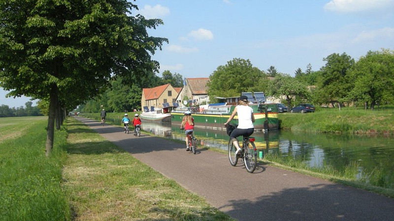 BR81 Du Piémont viticole à la Plaine Rhénane