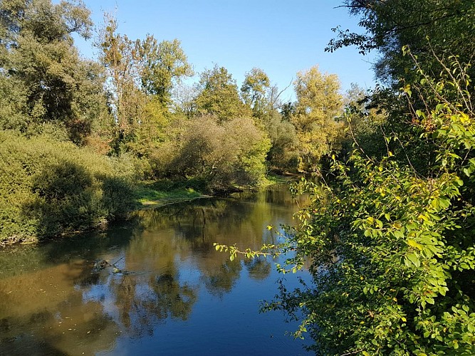 Rundwanderweg: der Botanische Pfad Mittelgrund