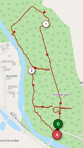 Rundwanderweg: der Botanische Pfad Mittelgrund