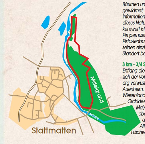 Rundwanderweg: der Botanische Pfad Mittelgrund