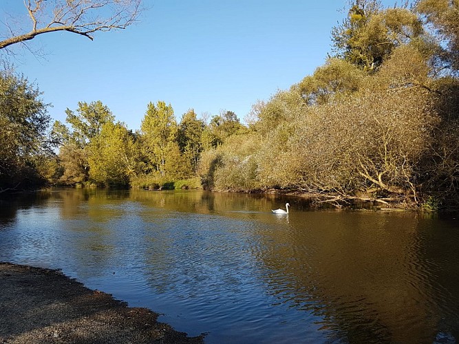 Circuit pédestre : le sentier botanique Mittelgrund