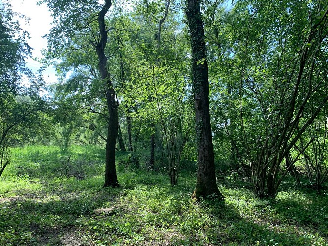 Circuit pédestre : Sentier des potiers Soufflenheim-Betschdorf