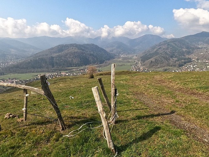 Trail - l'atelier du Schwitzerwald