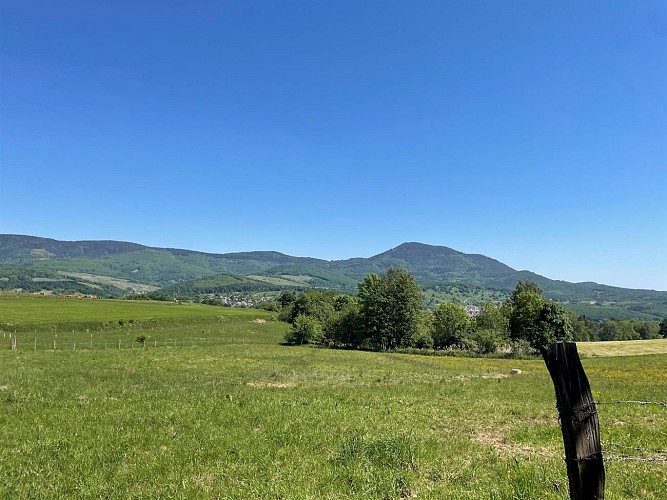 Spaziergang - Die Chena-Tour