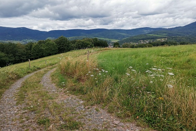 Randonnée - Le tour du Chena