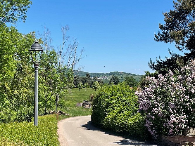 Randonnée - Le tour du Chena