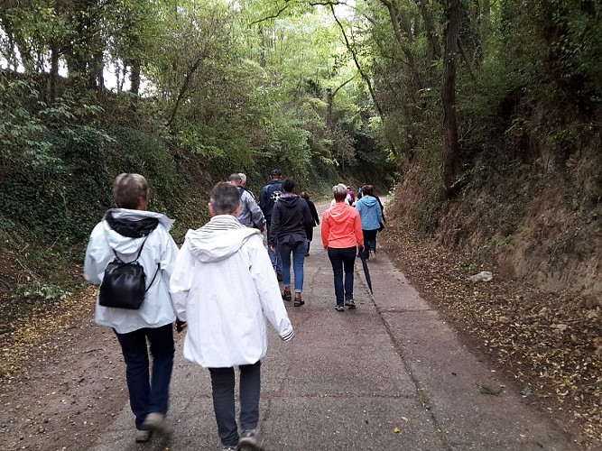 Sentier pédestre : Les Hauts de Mothern