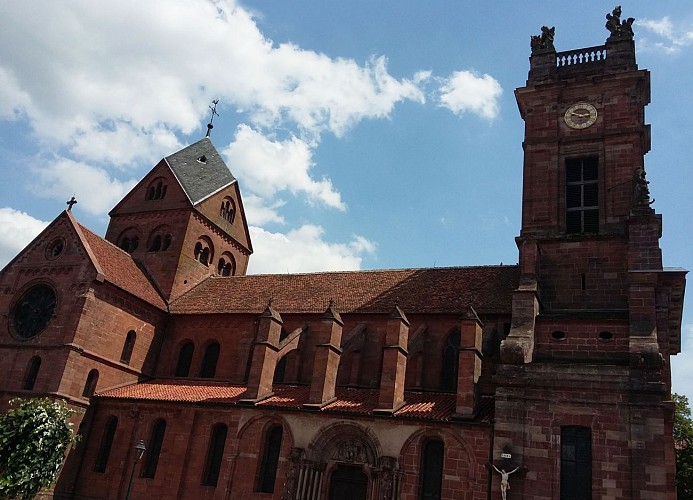 Cycling in Alsace 3 : Sandstone and Biosphere Reserve in the Northern Vosges