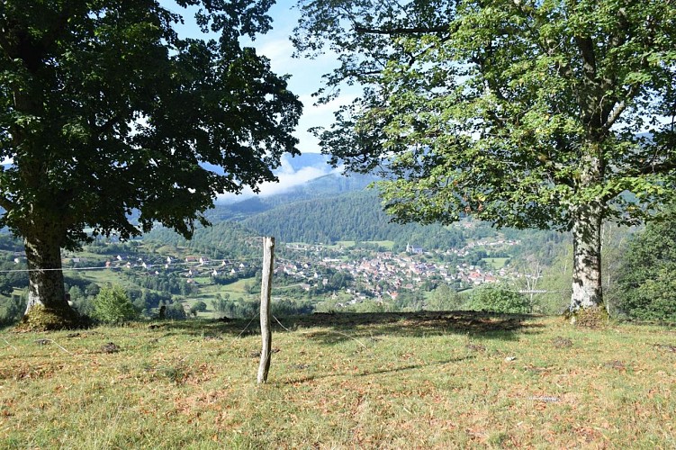 Sentier des tilleuls et allée des châtaigniers