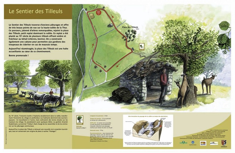 Sentier des tilleuls et allée des châtaigniers