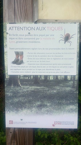 Sentier des tilleuls et allée des châtaigniers