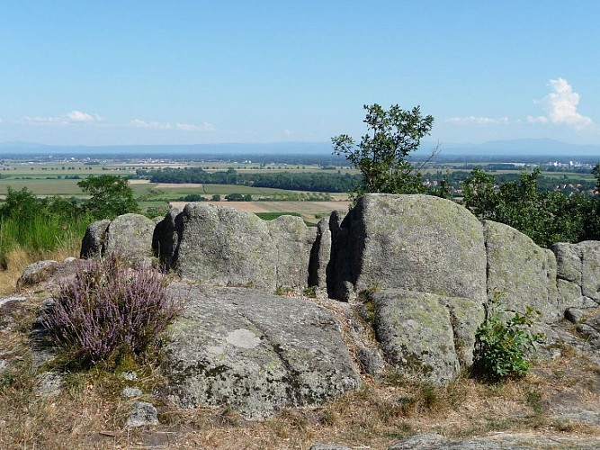 Ramparts and Vineyards trails - Dieffenthal