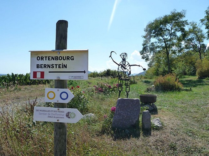 Sentier des Murailles et des Vignes - Dieffenthal