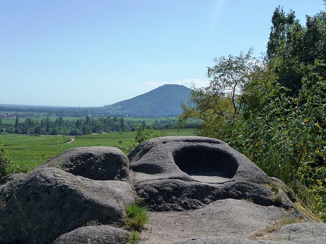 Sentier des Murailles et des Vignes - Dieffenthal