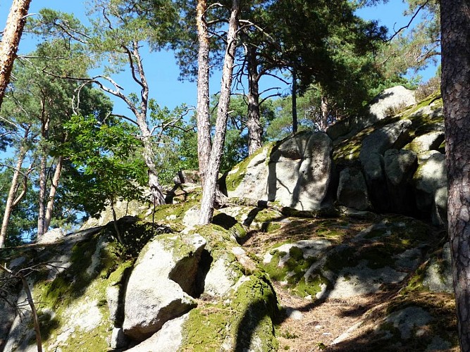 Sentier des Murailles et des Vignes - Dieffenthal