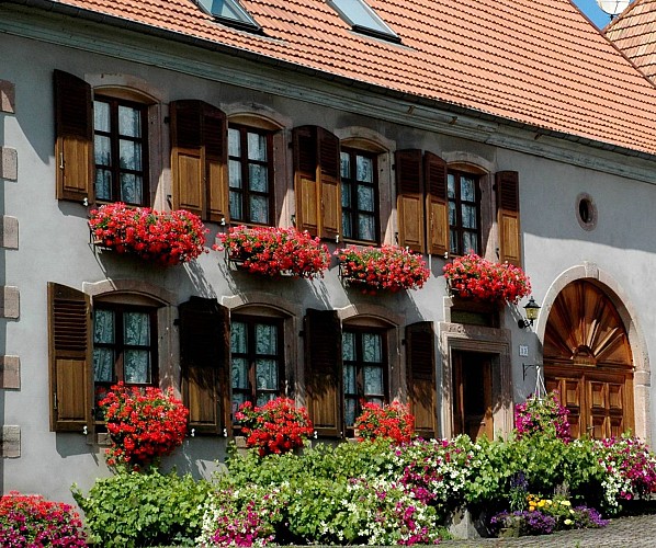 Circuit vélo H02 : Les hameaux de Ranrupt et Stampoumont