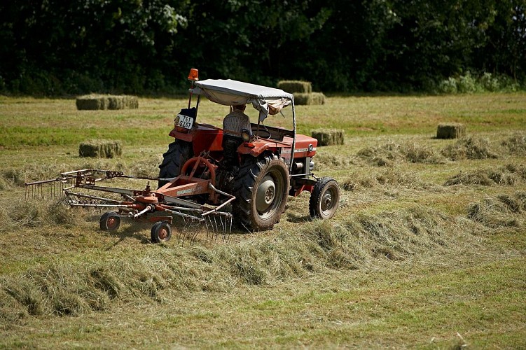 Circuit vélo H02 : Les hameaux de Ranrupt et Stampoumont