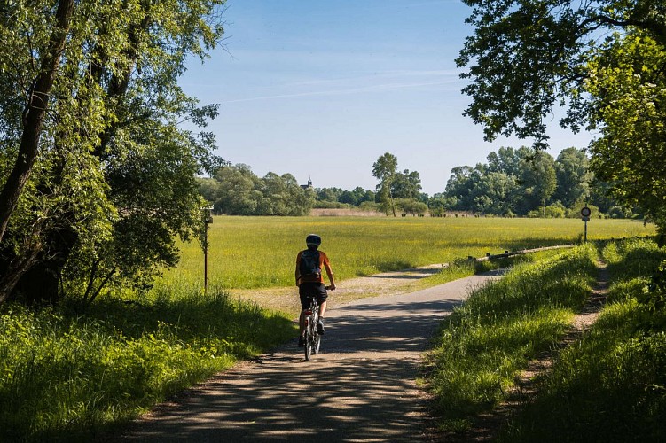 Piste cyclable - Dahlenheim / Scharrachbergheim