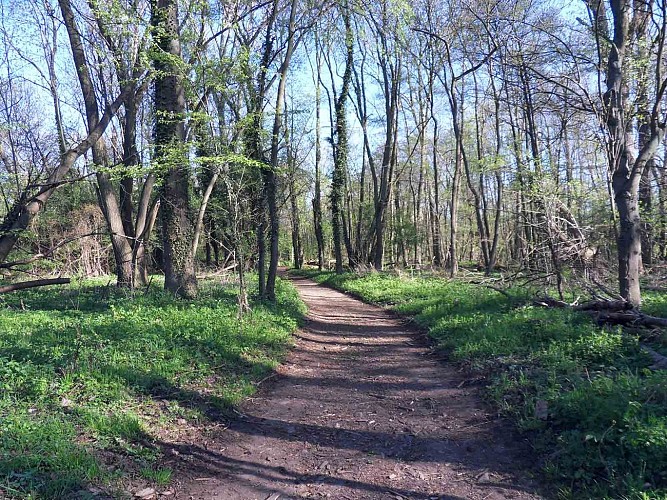 Sentier de la Bruche à Molsheim