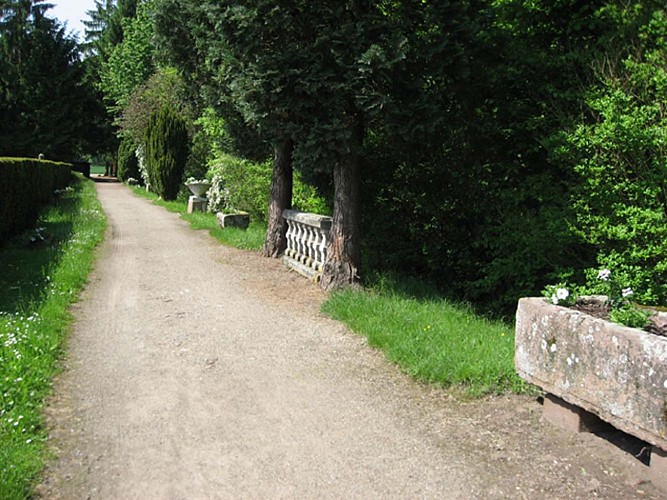 Allée du cimetière - Dompeter