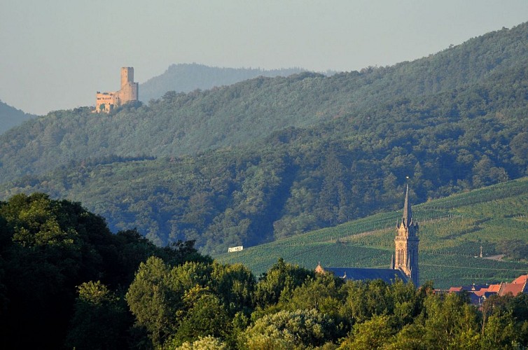 Radtour "Obstbrände, Liköre und Wein"