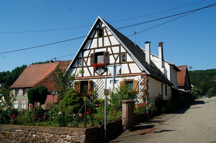 Rundgang um den Zittersheimer Felsen