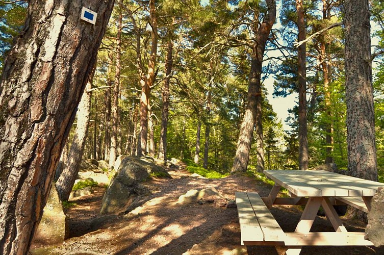 Wanderung - Historischer Rundweg der Steine