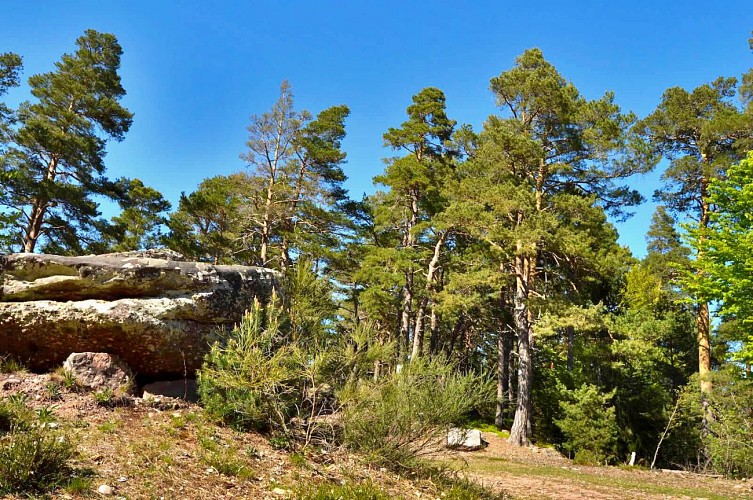 Wanderung - Historischer Rundweg der Steine