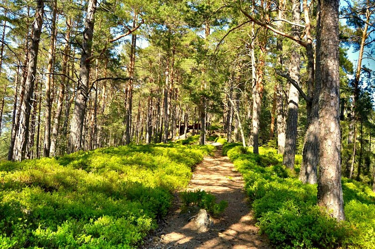 Wanderung - Historischer Rundweg der Steine