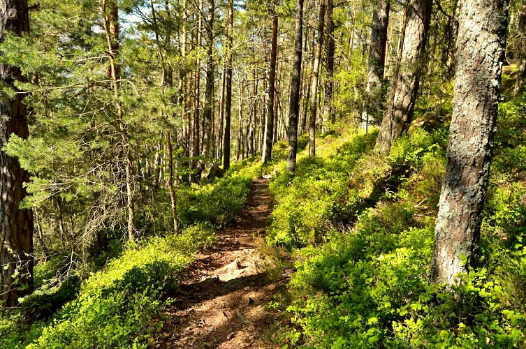 Wanderung - Historischer Rundweg der Steine