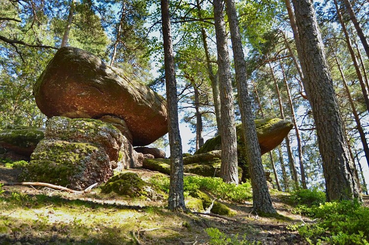 Wanderung - Historischer Rundweg der Steine