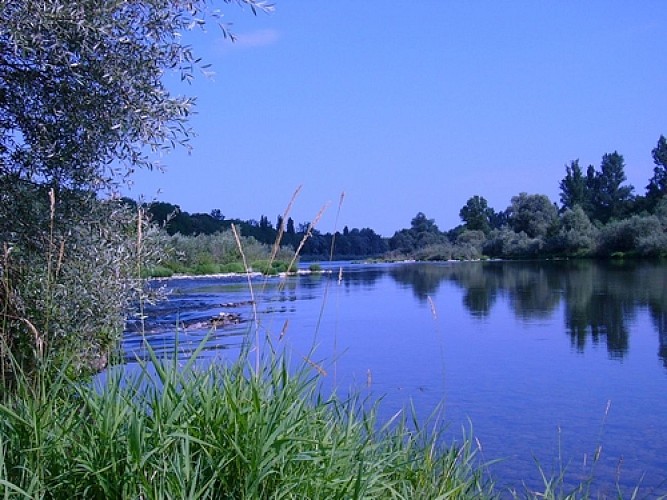 A Rhine Escapade: a landscape in formation
