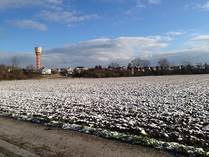 Wanderung : Rundwanderweg Cigognes