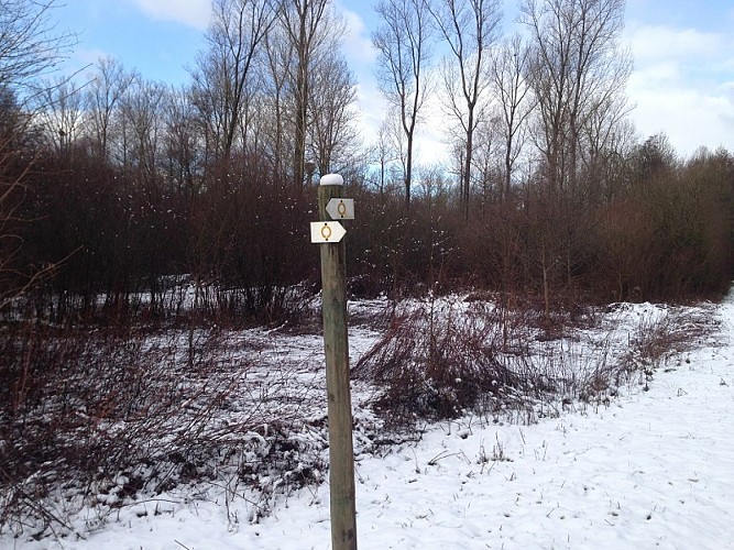 Wanderung : Rundwanderweg Cigognes