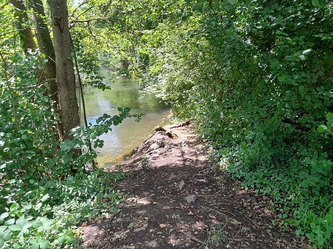 Mit dem Kanu auf den Brunnwasser von Rhinau nach Gerstheim