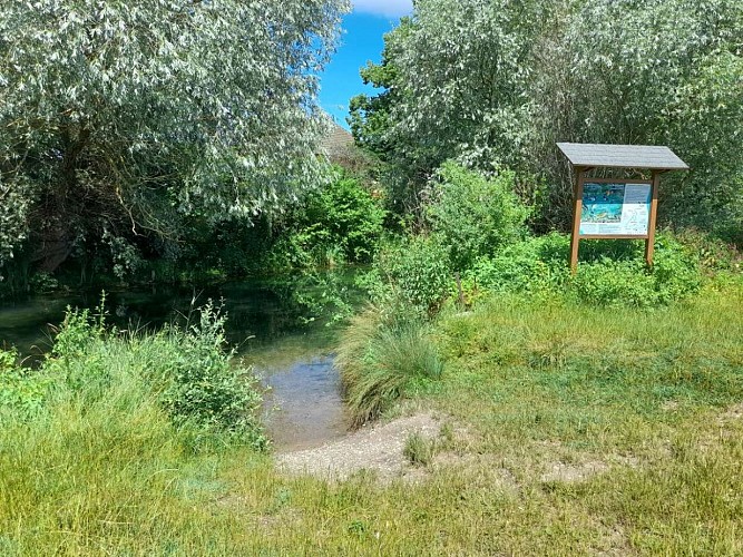 Circuit en canoë sur le Brunnwasser de Rhinau à Gerstheim