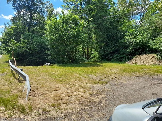 Circuit en canoë sur le Brunnwasser de Rhinau à Gerstheim