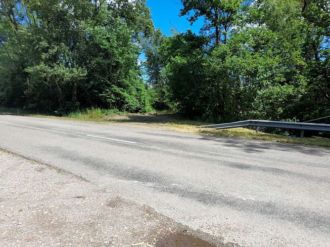 Circuit en canoë sur le Brunnwasser de Rhinau à Gerstheim