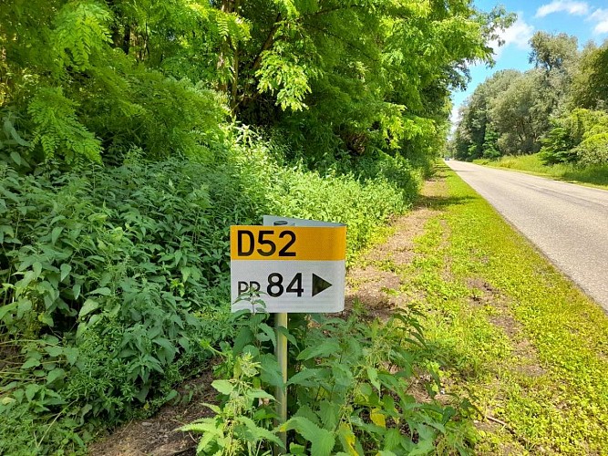 Circuit en canoë sur le Brunnwasser de Rhinau à Gerstheim
