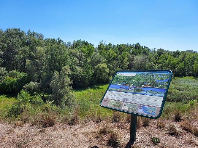 Cross-border cycling circuit Rhinau-Kappel-Weisweil