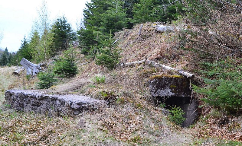 Rundwanderung D01 : Der Weg der Bunker