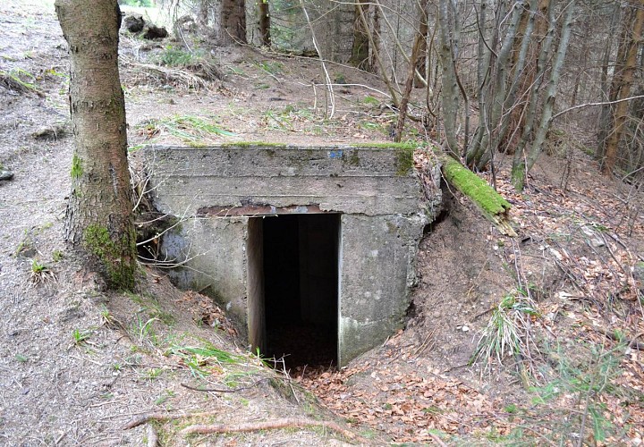 Rundwanderung D01 : Der Weg der Bunker