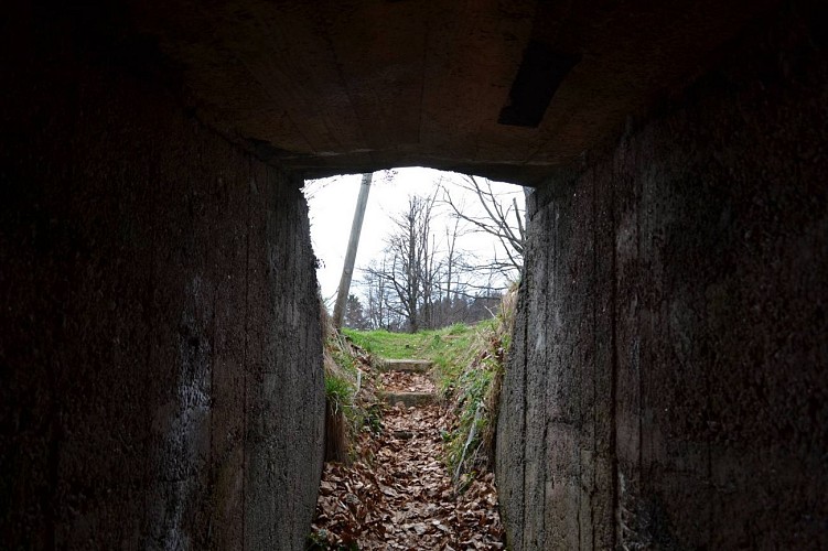 Rundwanderung D01 : Der Weg der Bunker