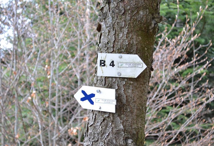 Hiking trail D01: The bunker trail