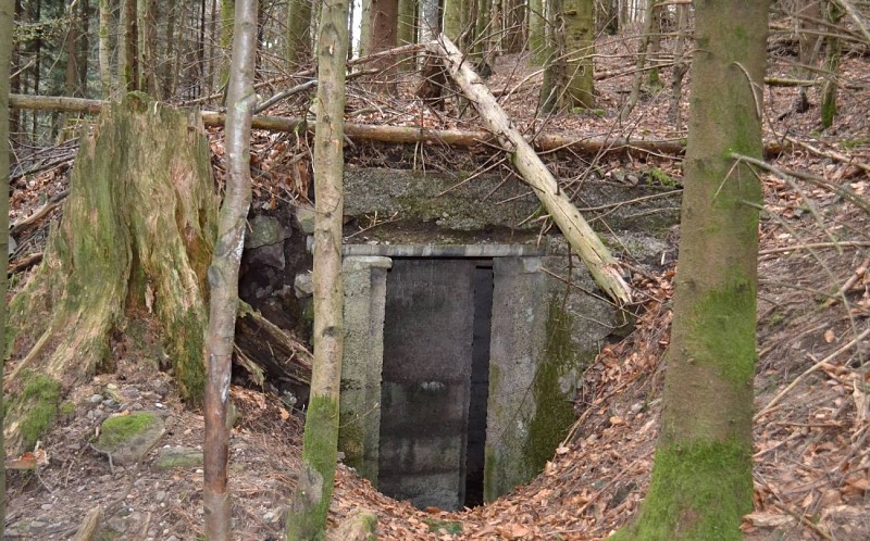 Circuit rando D01 : Le sentier des bunkers