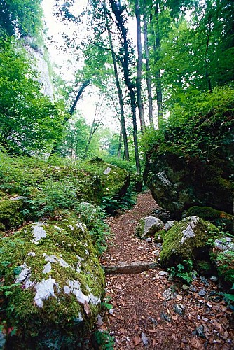 Sentier de la Grotte des nains