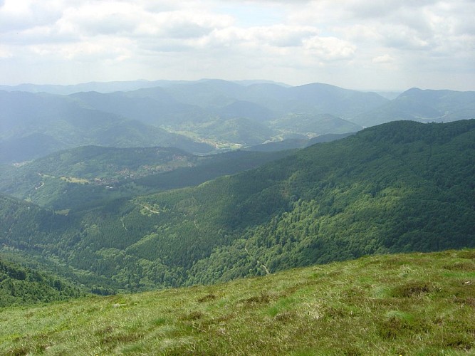 Vue depuis Grand Ballon